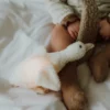 Veilleuse en peluche Livia - Flow Amsterdam – Image 3